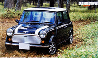 Fujimi Rover Cooper | 4968728122199