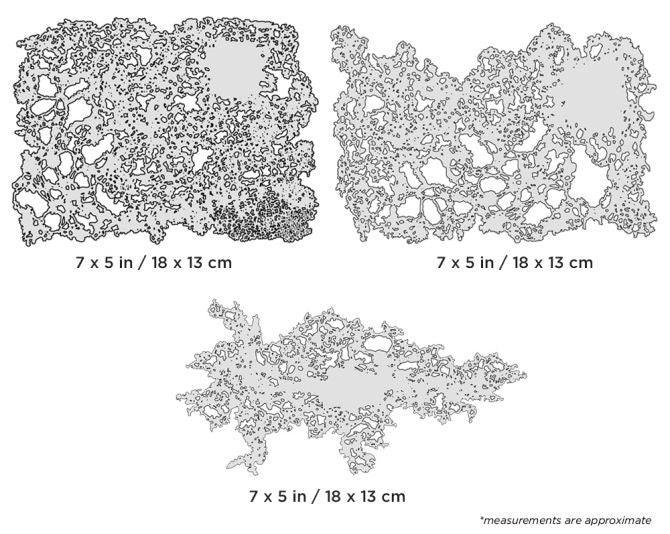 IWATA TEXTURE FX MINI SERIES | 758240150312