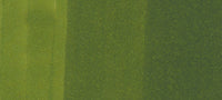 Copic Ciao Marker Greens, Pine Tree Green G29 | 4511338051399
