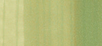 Copic Sketch Marker Greens, Spring Dim Green G82 | 4511338007167