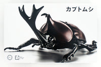 Fujimi Living Thing Series Japanese Rhinoceros Beetle Biology Edition Pre-painted kit | 4968728170725