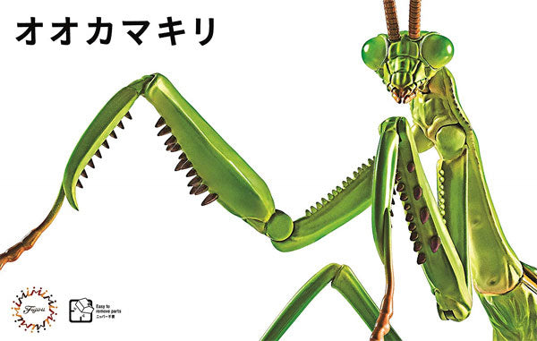 Fujimi Biology Edition Big Mantis | 4968728170824