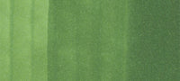 Copic Sketch Marker Yellow Greens, Moss YG67 | 4511338003602