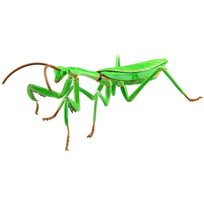 Fujimi Biology Edition Big Mantis | 4968728170824