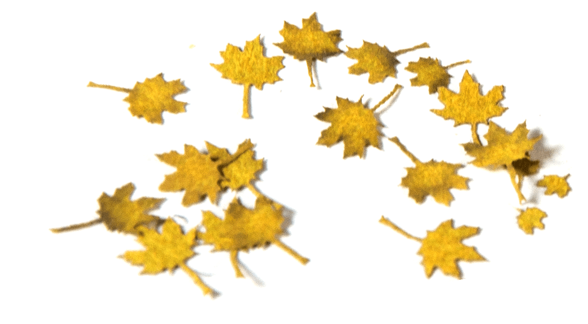 AK Interactive Maple Autumn 1/35 | 8435568301276