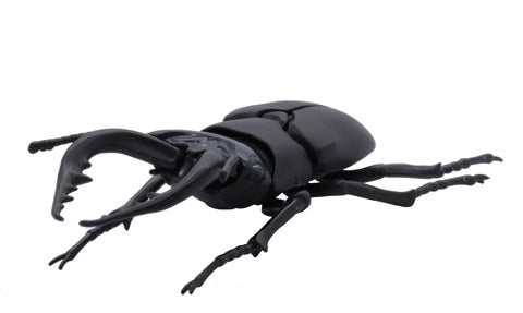 Fujimi Biology Edition Stag Beetle | 4968728170732