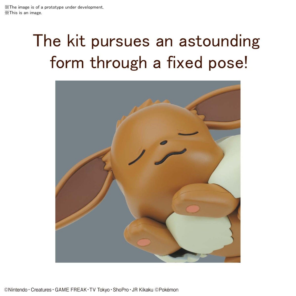 Pokemon Model Kit Quick!! 07 EEVEE (SLEEPING POSE) | 4573102619372