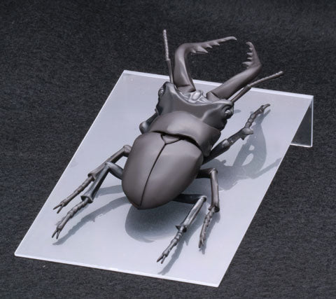 Fujimi Biology Edition Stag Beetle | 4968728170732