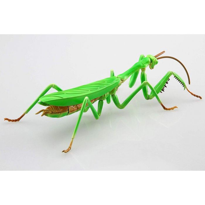 Fujimi Biology Edition Big Mantis | 4968728170824