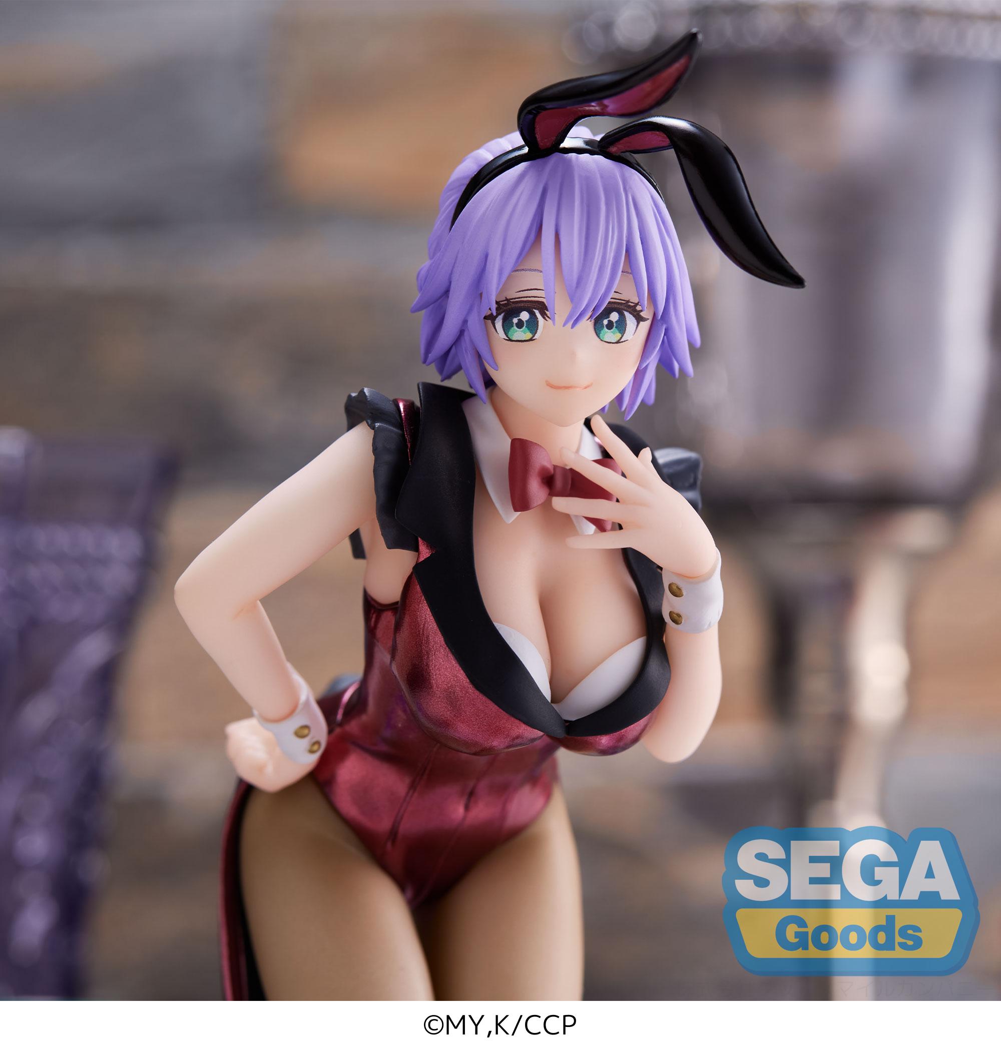 A Couple of Cuckoos Series Hiro Segawa PM Figure | 4580779511113