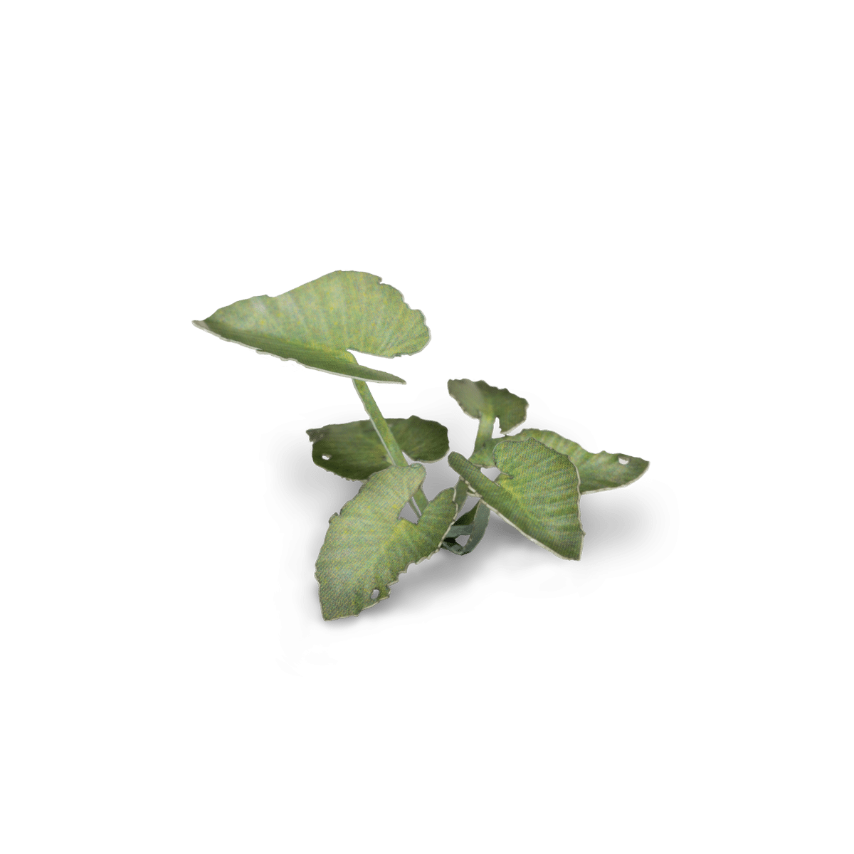 Gamers Grass Static Tuft Laser Plants - Elephant Ear | 738956789983