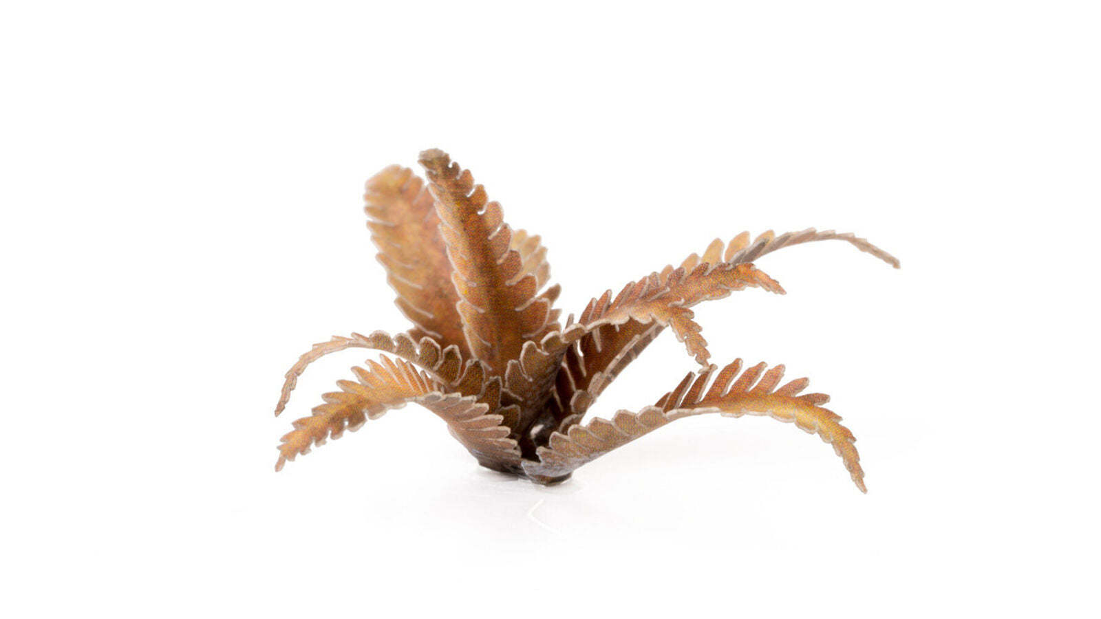 Gamers Grass Static Tuft Laser Plants - Deer Fern | 738956790149