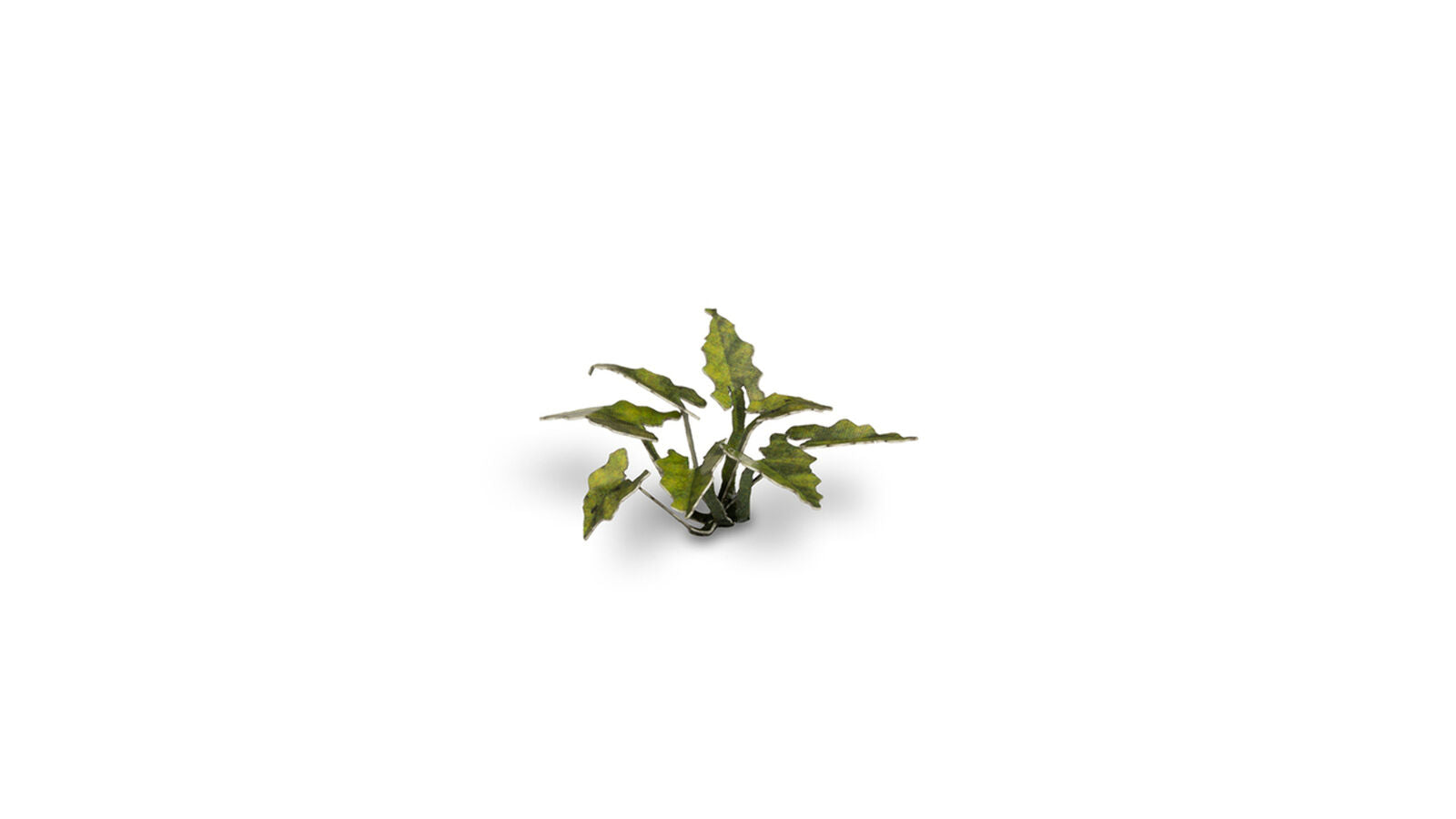 Gamers Grass Static Tuft Laser Plants - Lords-and-Ladies | 738956790071