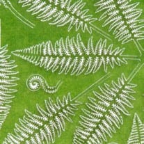 AK Interactive Fern | 8435568301702
