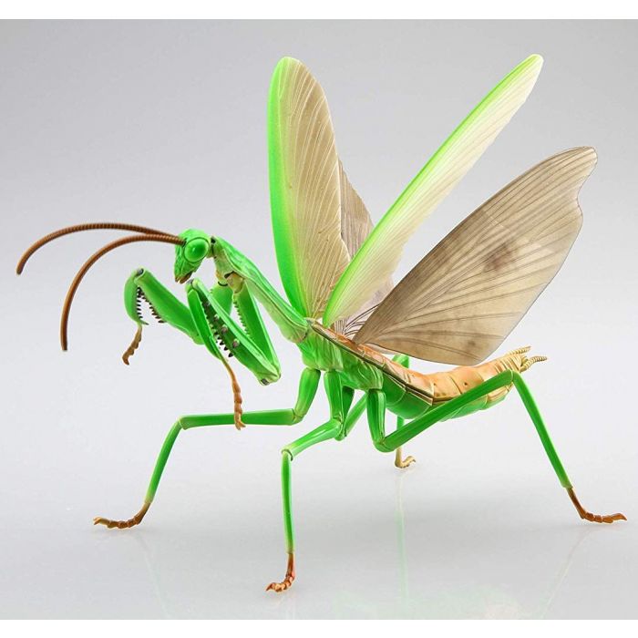 Fujimi Biology Edition Big Mantis | 4968728170824