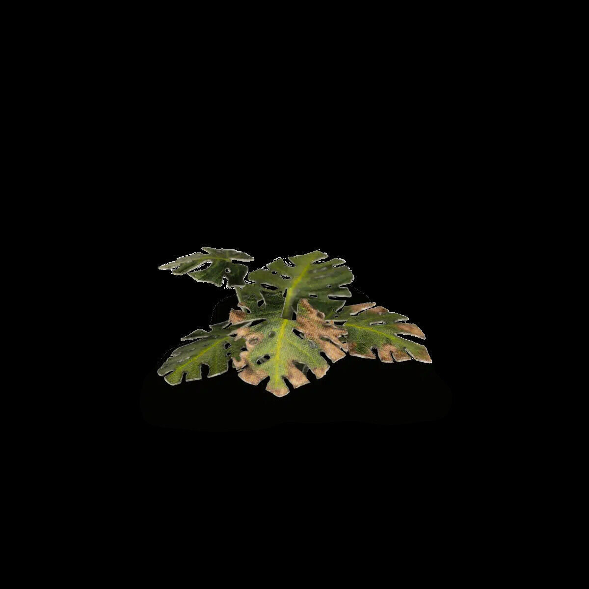 Gamers Grass Static Tuft Laser Plants - Monstera | 738956790002