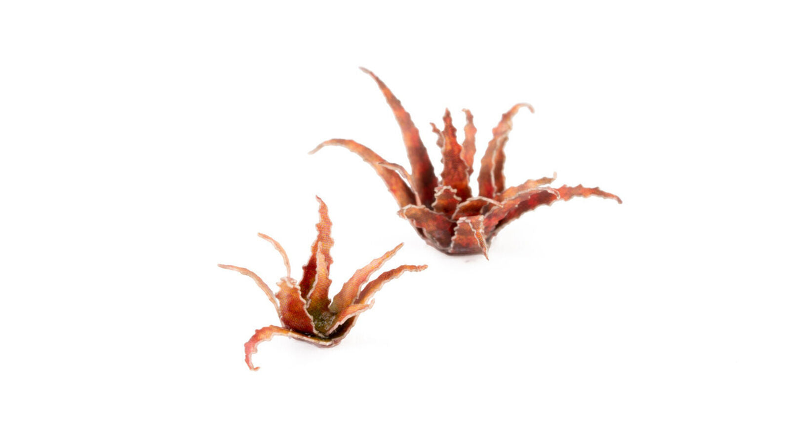Gamers Grass Static Tuft Laser Plants - Red Aloe | 738956790163