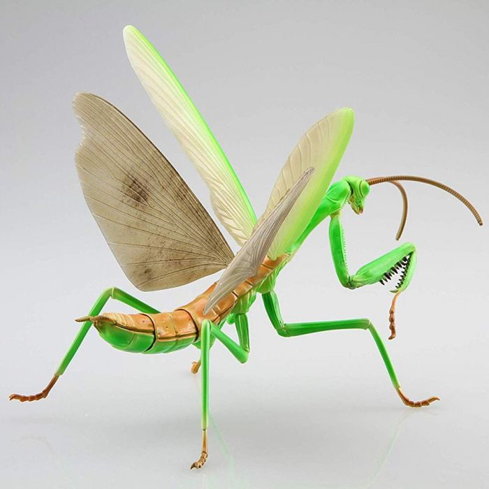 Fujimi Biology Edition Big Mantis | 4968728170824