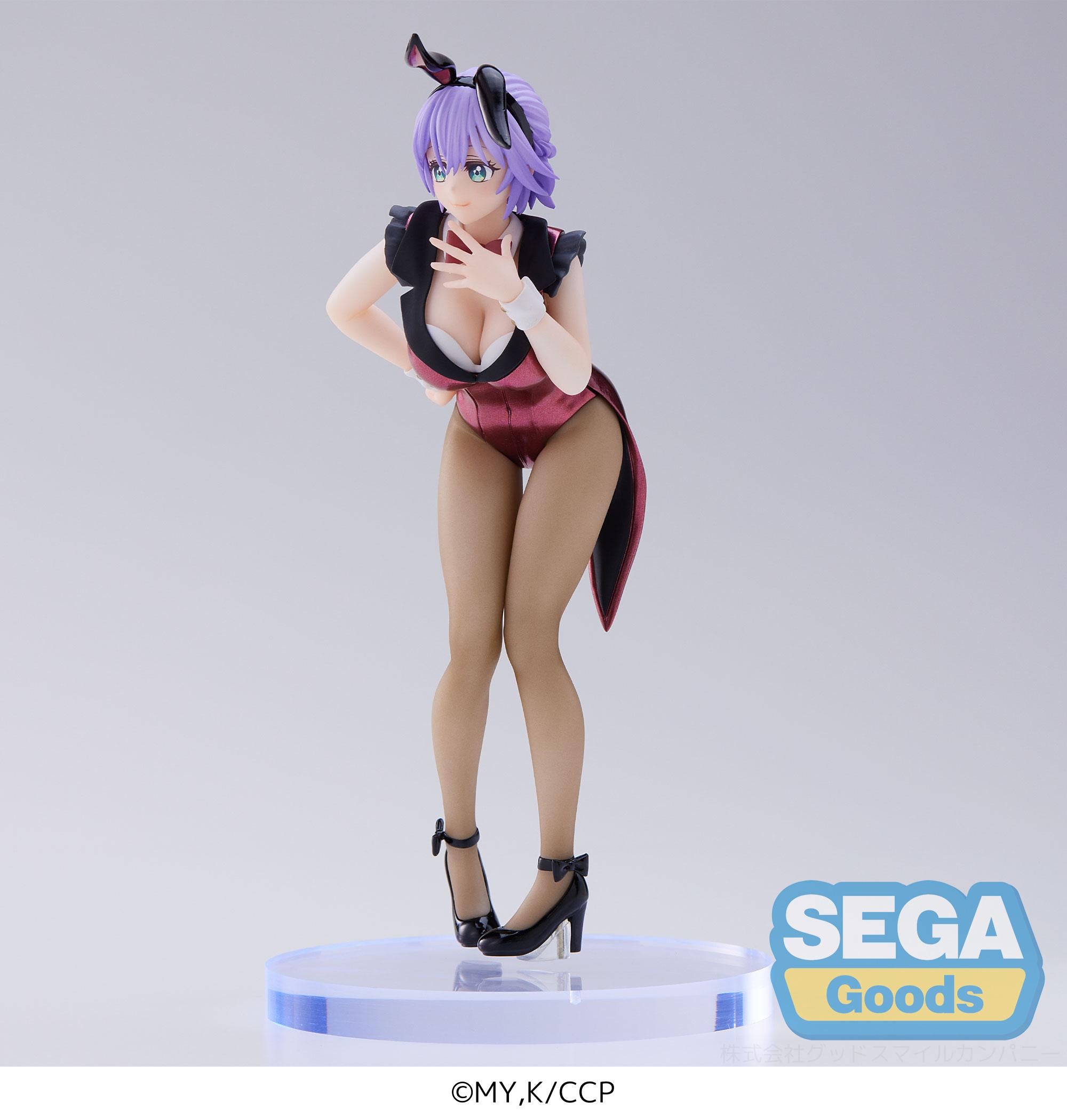 A Couple of Cuckoos Series Hiro Segawa PM Figure | 4580779511113