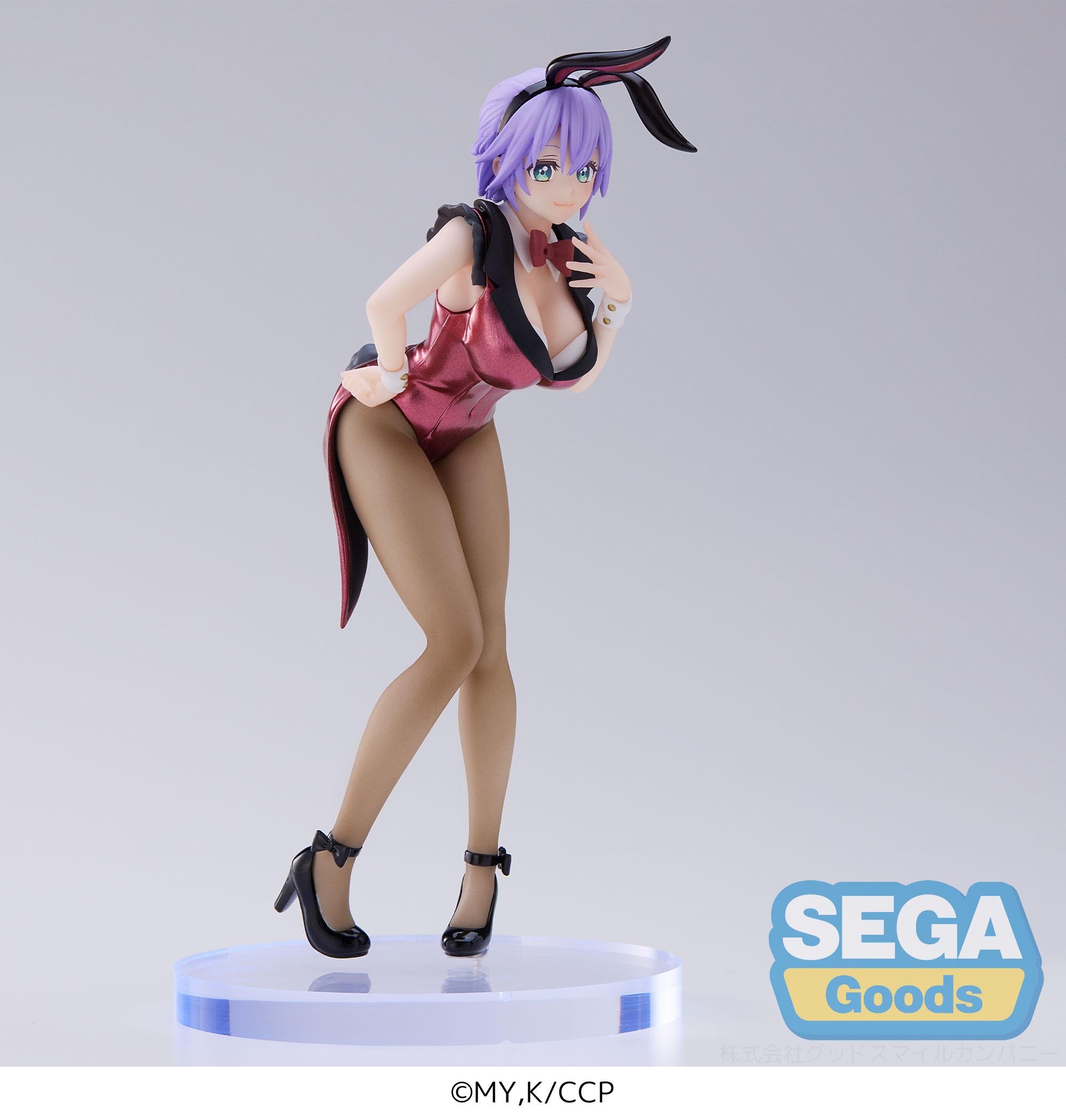 A Couple of Cuckoos Series Hiro Segawa PM Figure | 4580779511113